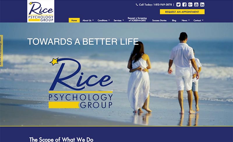 Rice Psychology Group